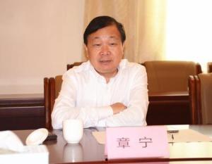 章宁演员,光影交织，演绎人生百态